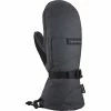 DAKINE Titan GORE TEX Mitten Men's